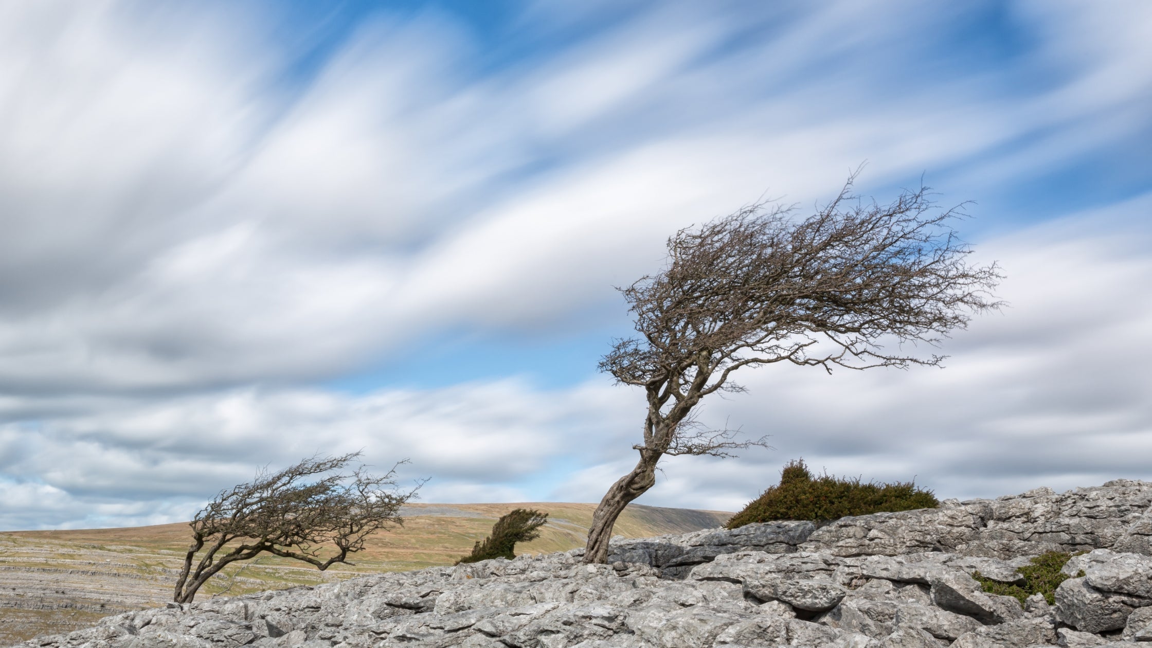 Understanding Vata Imbalance: Your Ayurveda Guide to Balance