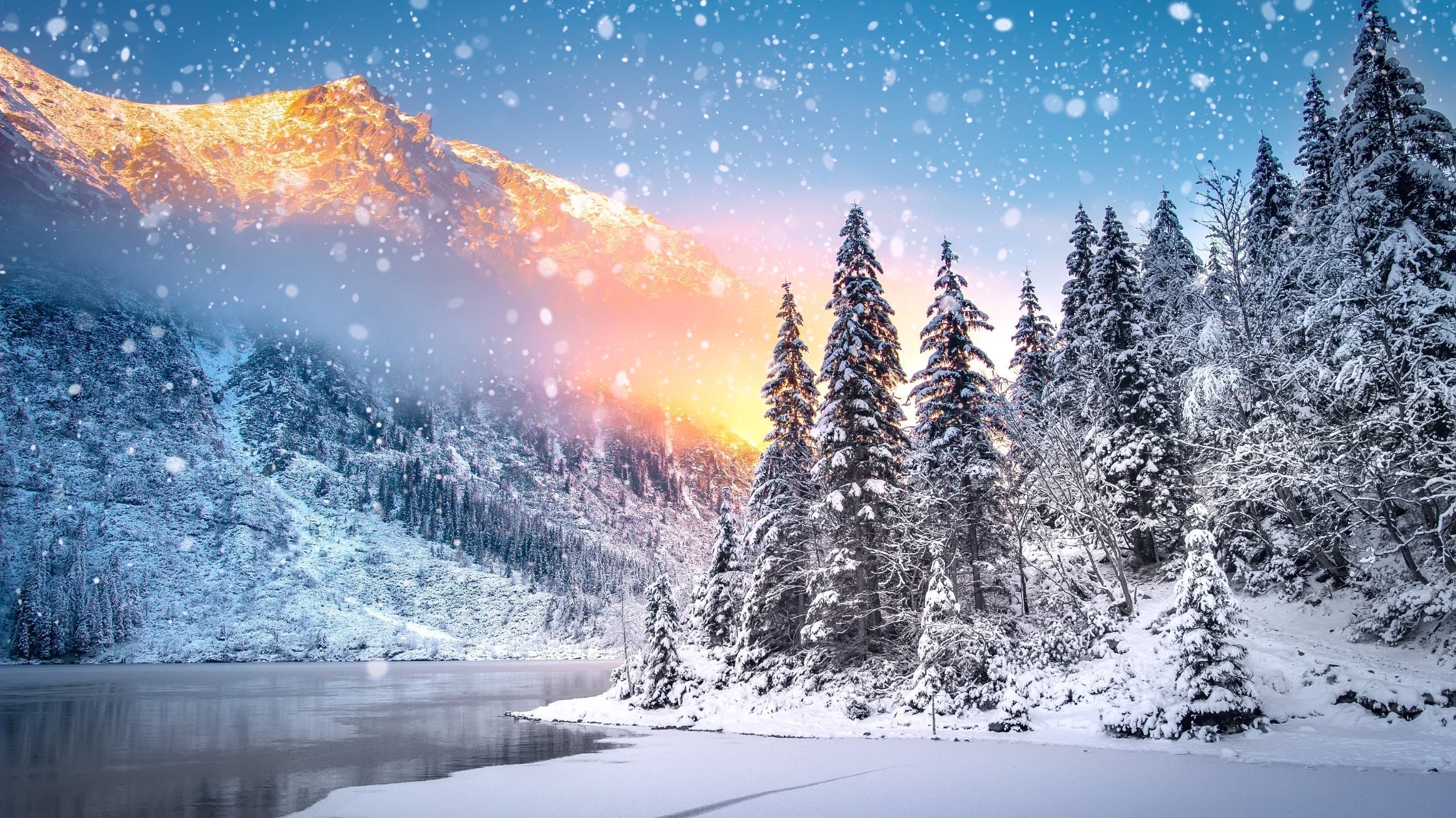 The Ayurvedic Wisdom of Wintering: Supporting Mental Wellness Through Seasonal Rest