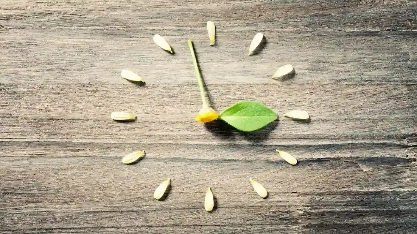 An Ayurvedic Guide to Daylight Savings Time