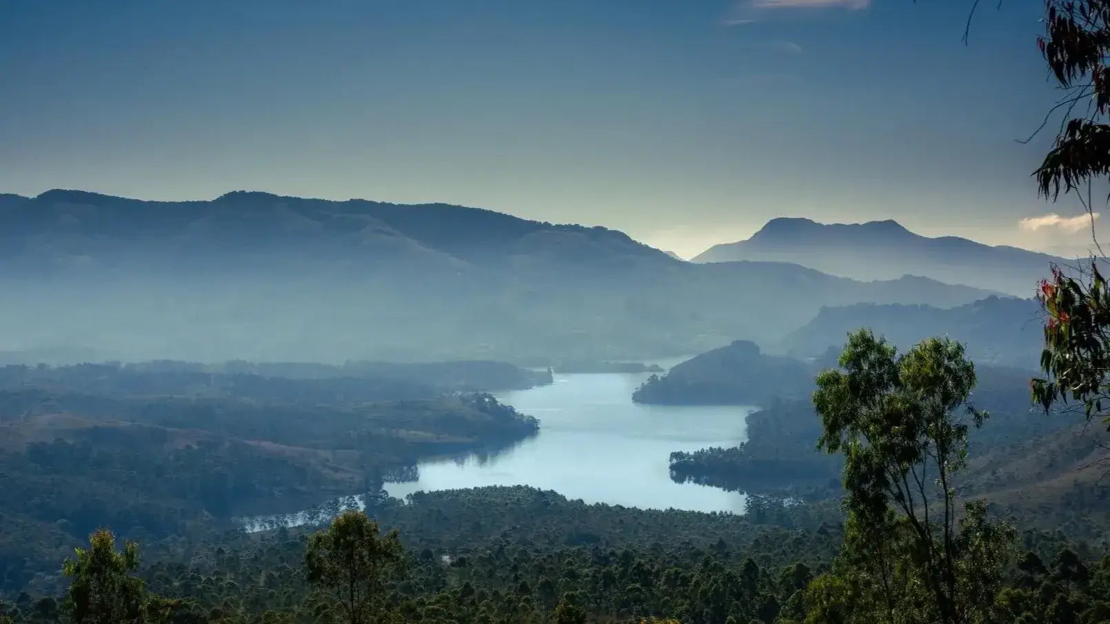 Ayurveda: A Sustainable Tradition Of Holistic Wellness