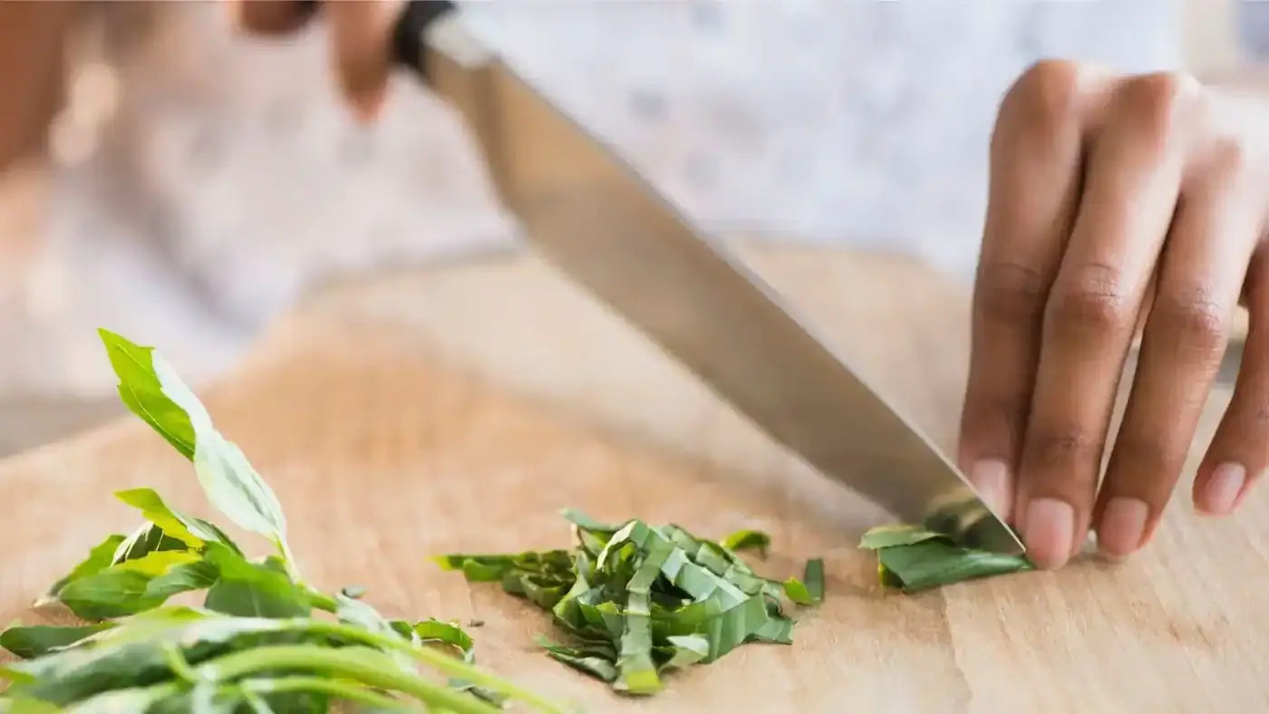 The Gut Brain Connection & Your Health