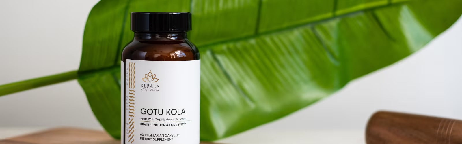 Top 9 Ayurvedic Herbs For Rejuvenation