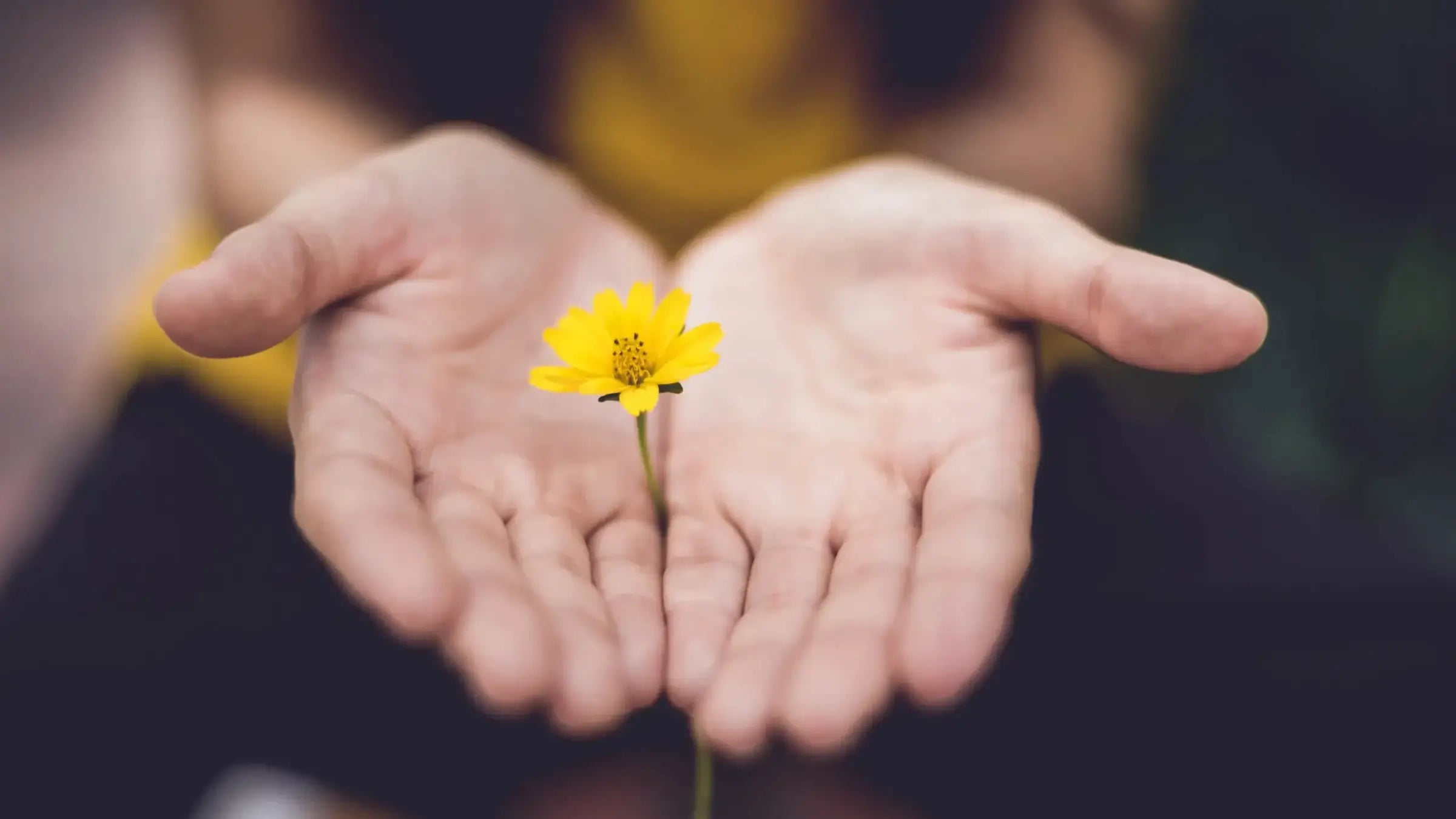 Panchakarma: Bringing The Ancient Art of Slowing Down and Detoxing Into Your Modern Life