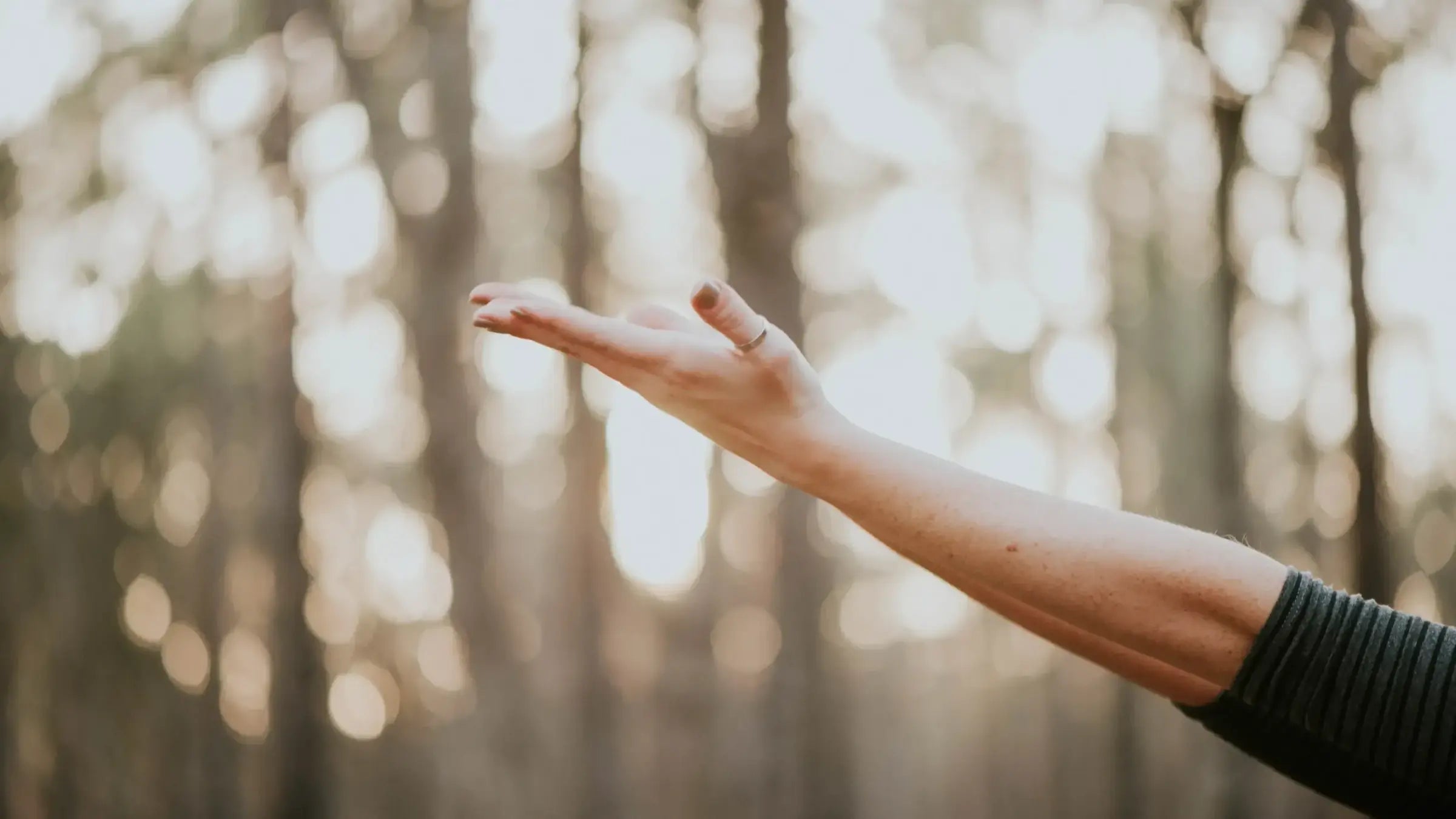 Sustainable Health Care: 5 FAQ's to Make Your Wellness Routines Body