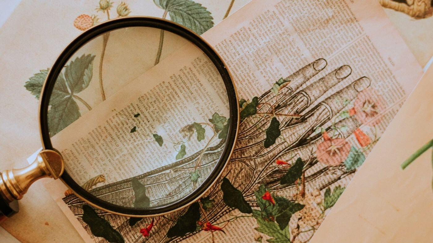 Eye Health and Care According to Ayurveda