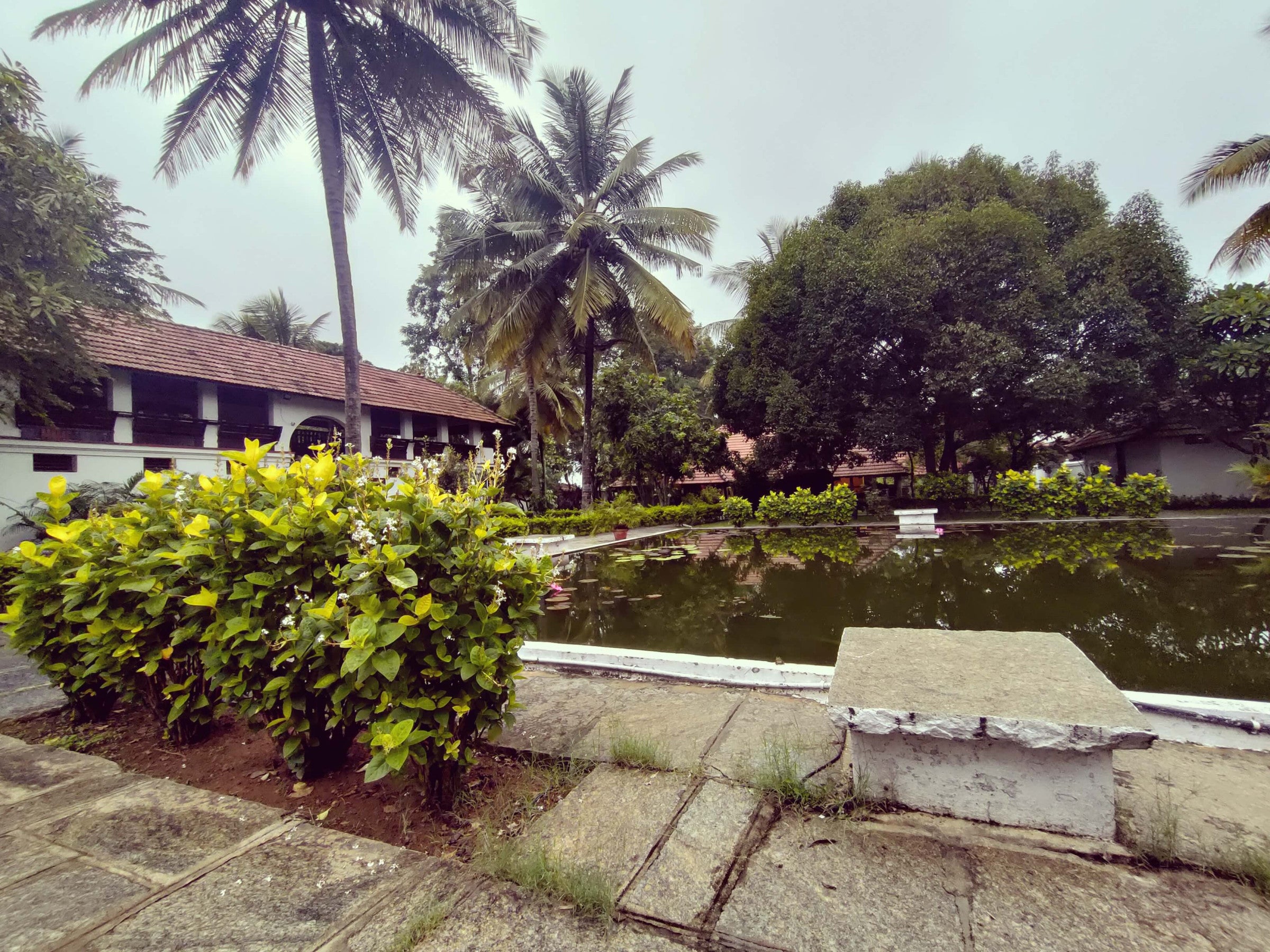 India Immersion - Experience Ayurveda in Its Birthplace