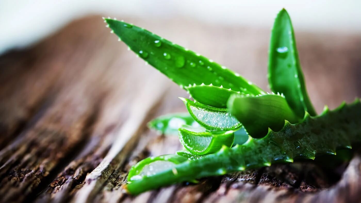 Aloe Vera for Skincare: Ayurvedic Benefits, Uses and More