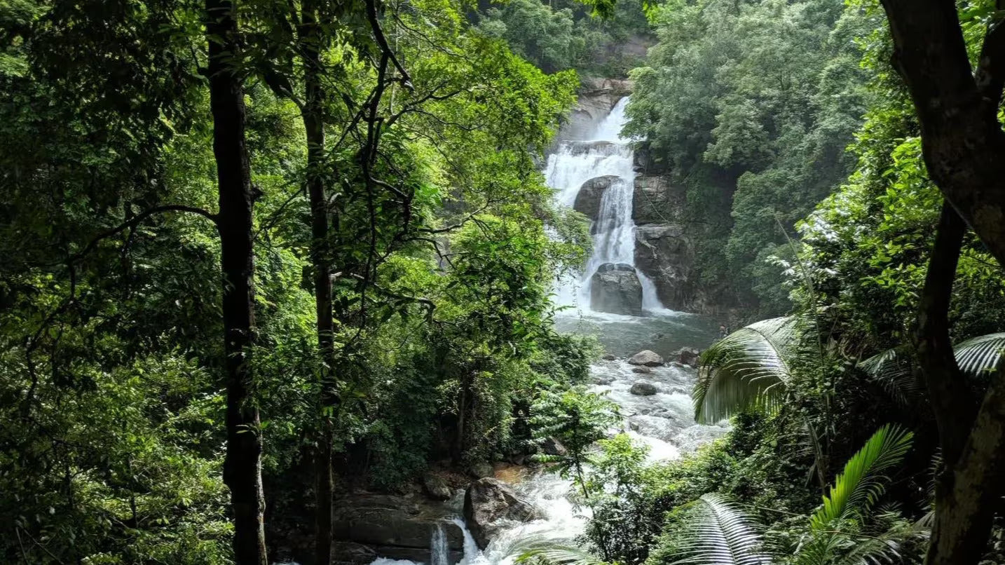 A scenic waterfall flowing through lush greenery in a forested area.