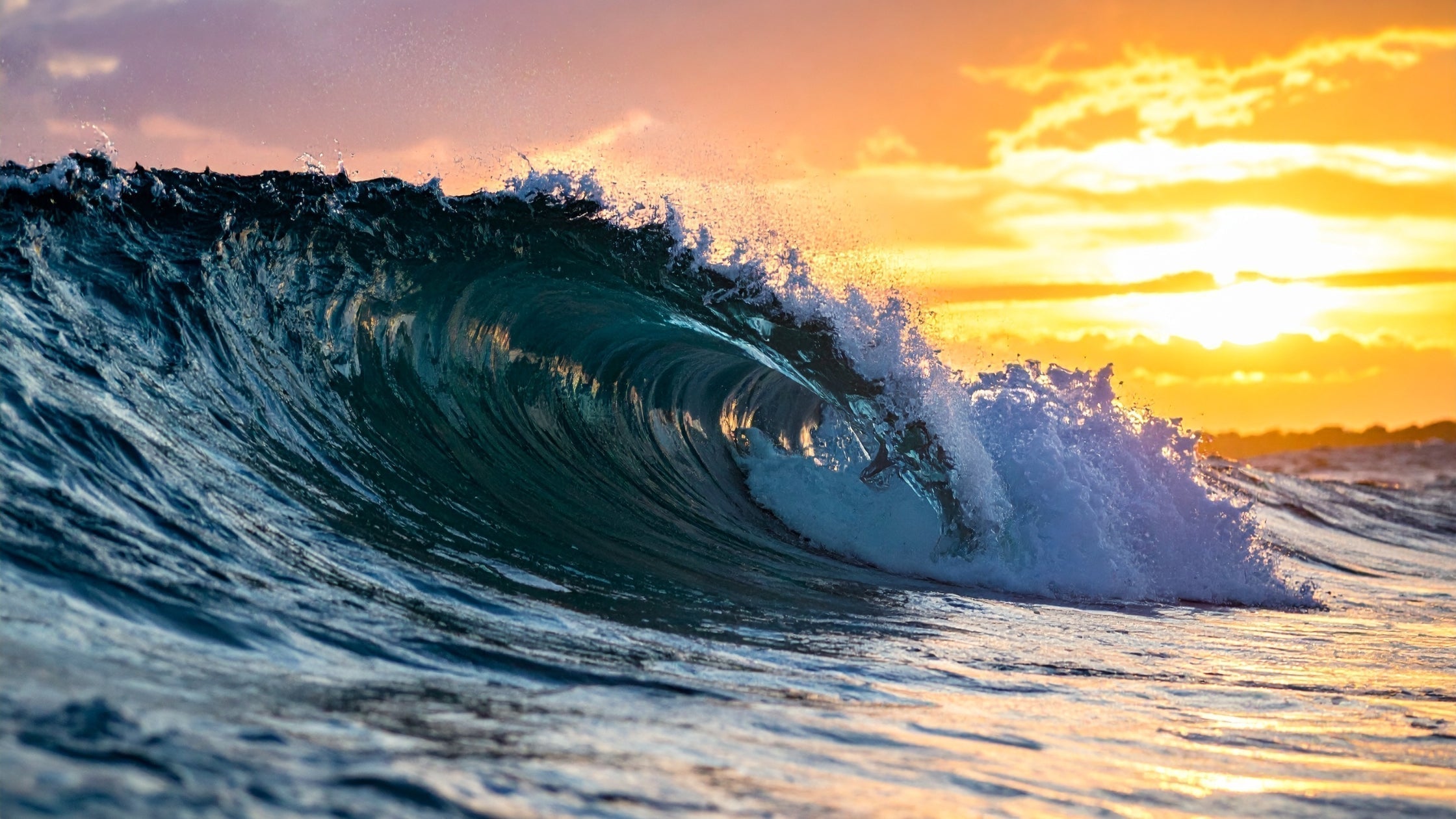 Why Is Spring the Best Time to Cleanse? Understanding Ayurveda's Kapha Season