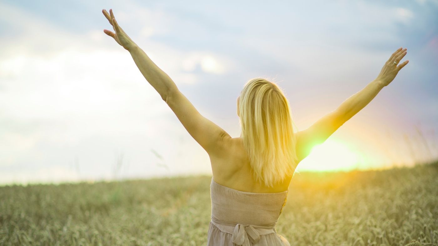 Panchakarma Explained: The Complete Guide to Ayurveda's Most Powerful Cleansing Therapy