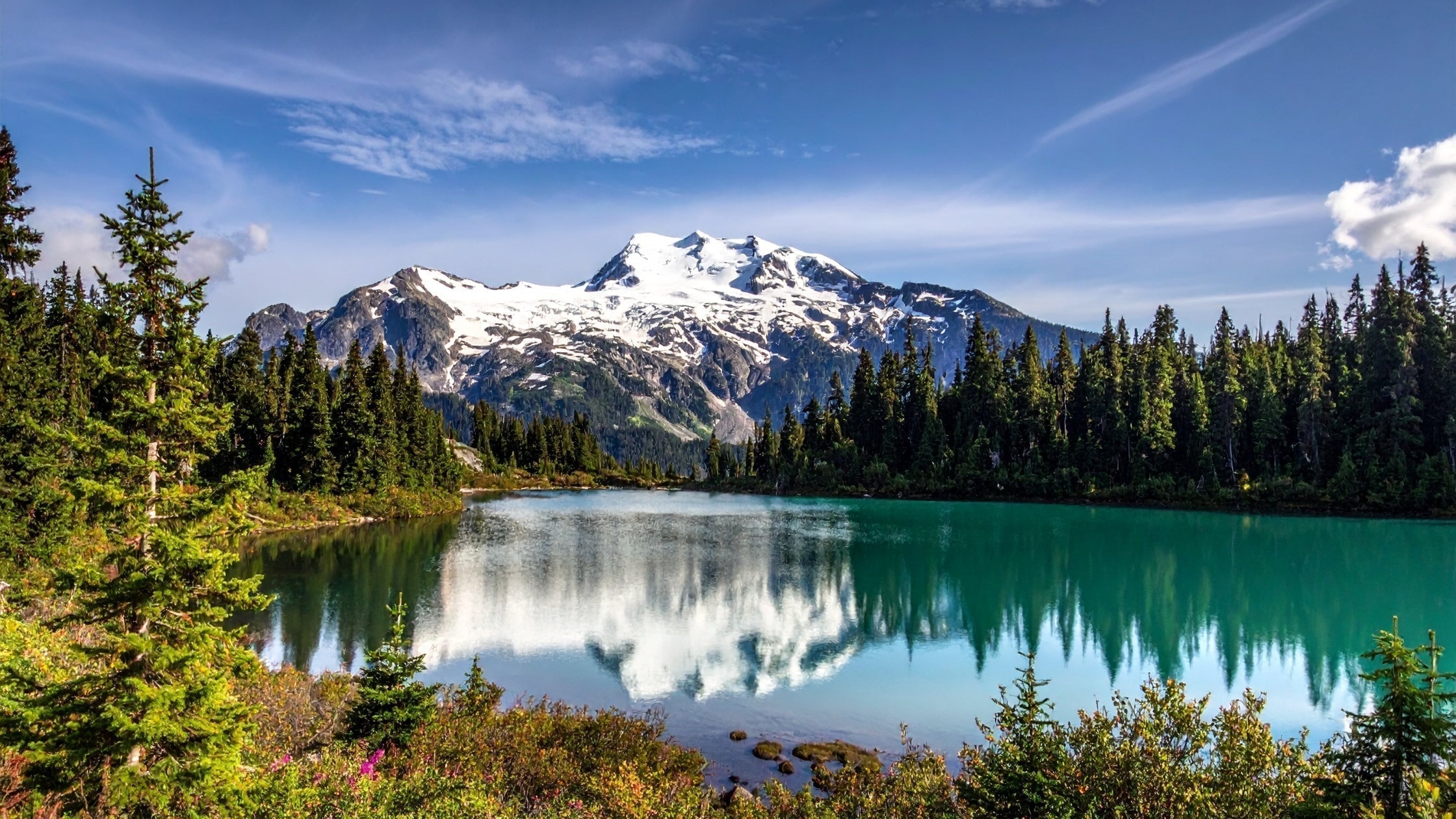 Understanding Kapha Imbalance: Your Ayurveda Guide to Balance