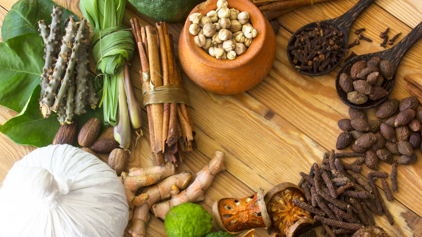 an image that illustrates all the immune modulating herbs in ayurveda