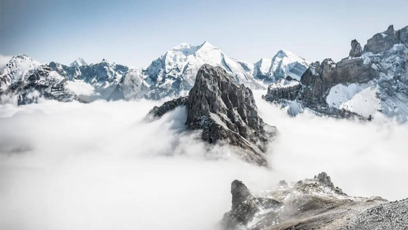 Pure Himalayan Shilajit: All the Information You Need