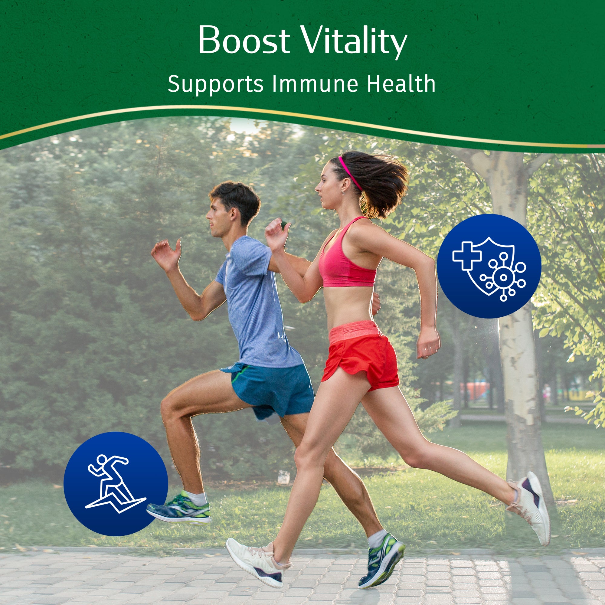 Ashwagandha (60 Veg Capsules)