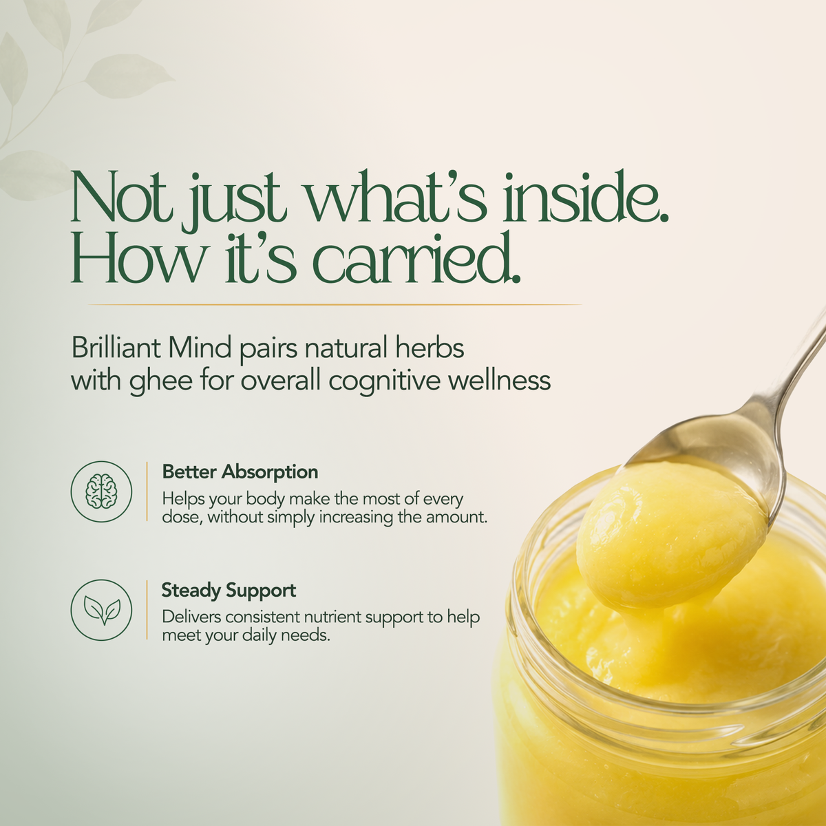 Brilliant Mind (Brahmi Pearls) (60 Soft Gel Capsules)