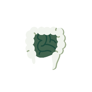 Detox & Gut Health – Natural Ayurvedic solutions