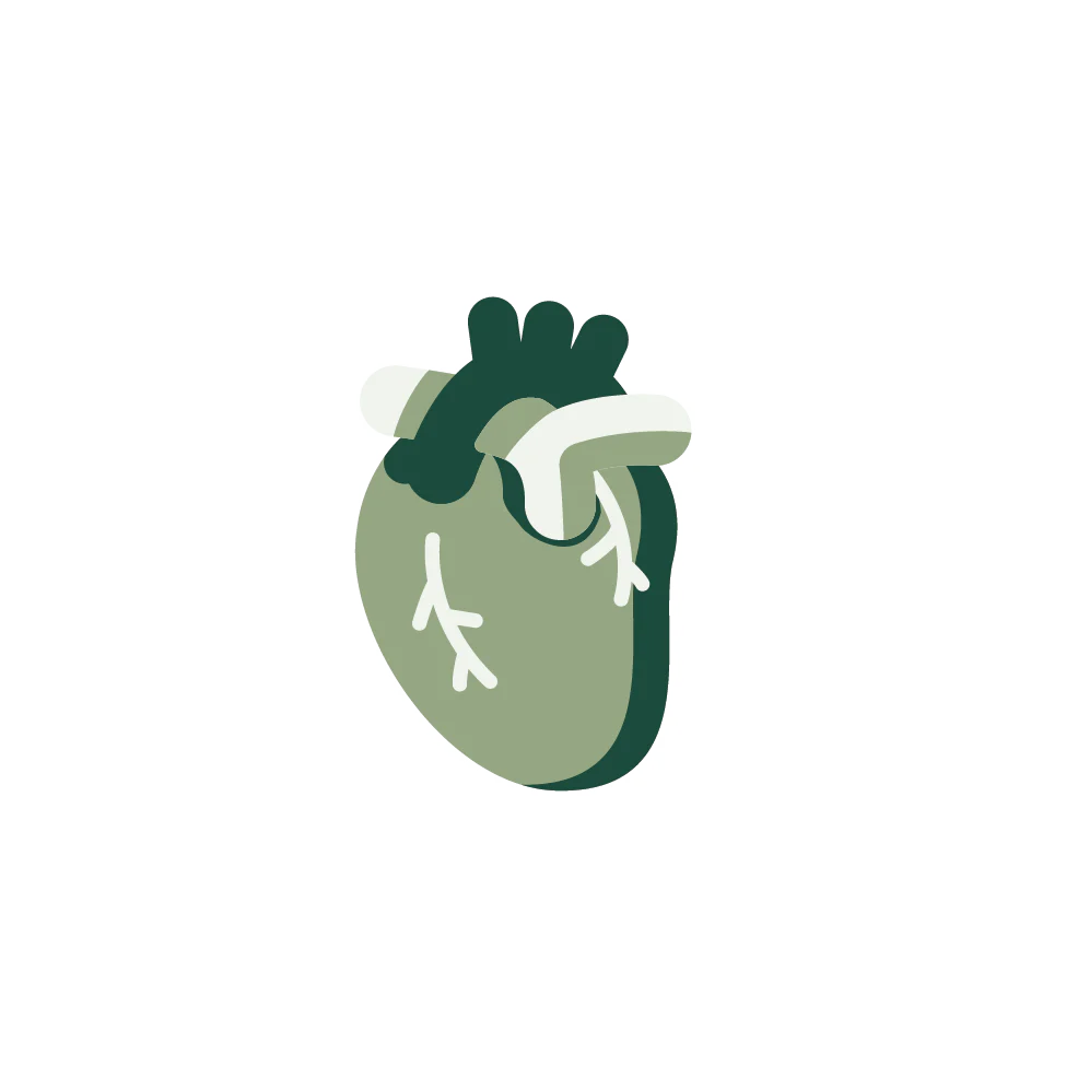 Heart Health – Natural Ayurvedic solutions