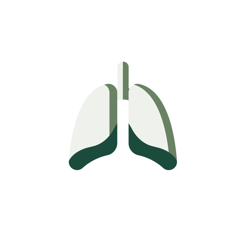 Respiratory Health – Natural Ayurvedic solutions