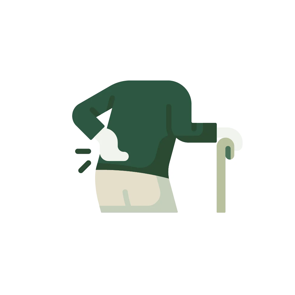 Joint Comfort & Mobility – Natural Ayurvedic solutions